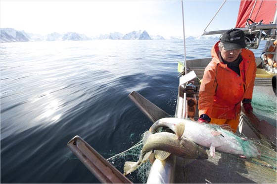 Nachhaltiger Fischfang in Norwegen