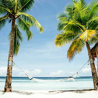 Company Holidays