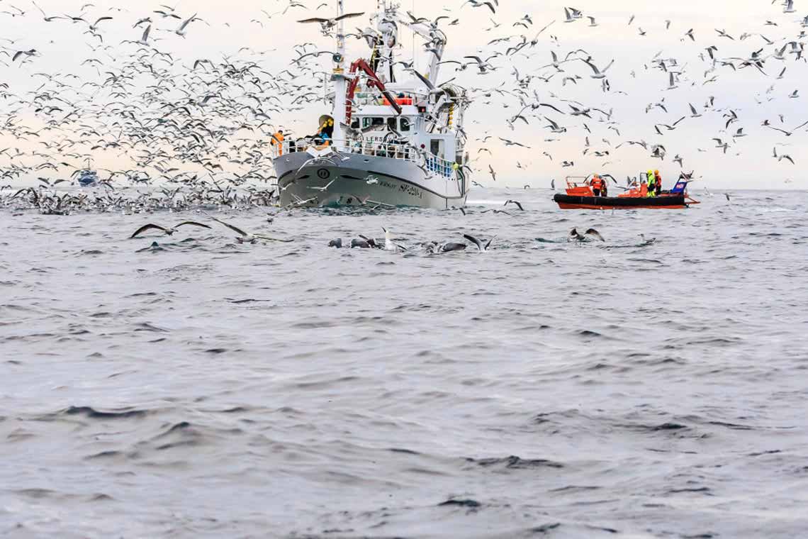 Fischfang in Norwegen