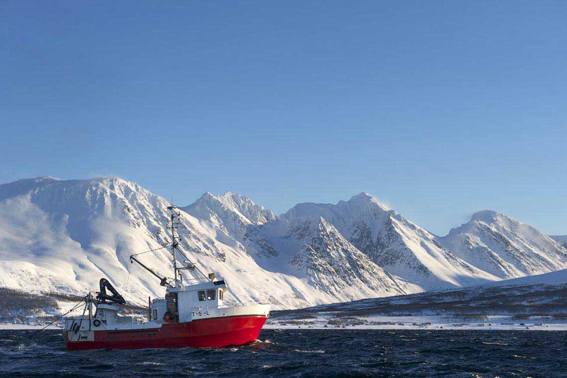 Fischfang in Norwegen